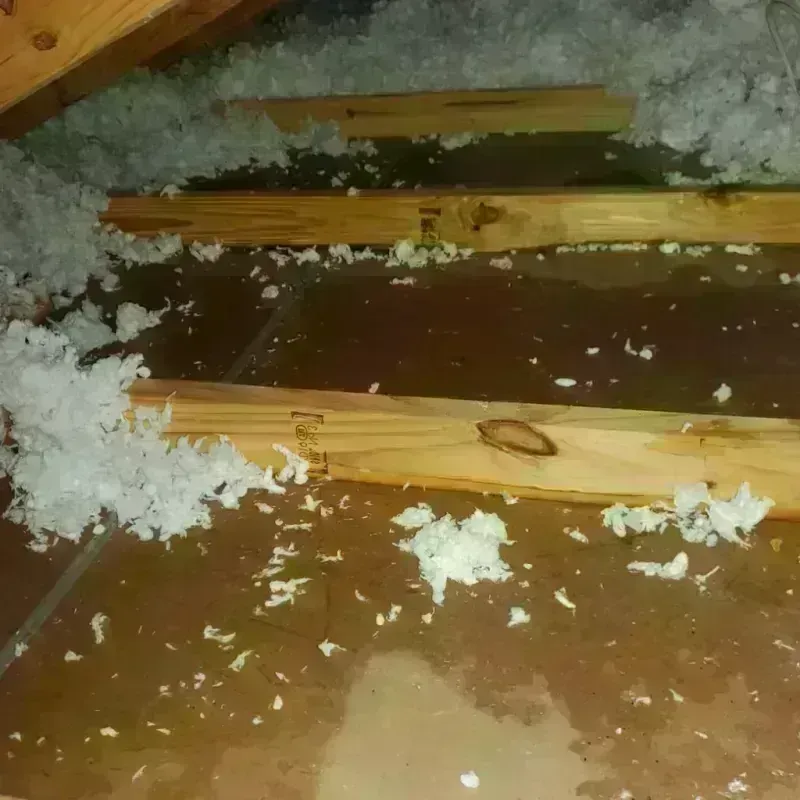 Attic Water Damage in Osage City, KS